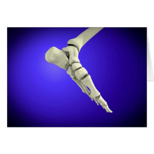 röntgenUitzicht van menselijke voet 2