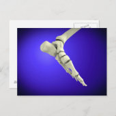 röntgenUitzicht van menselijke voet 2 Briefkaart (Voorkant / Achterkant)