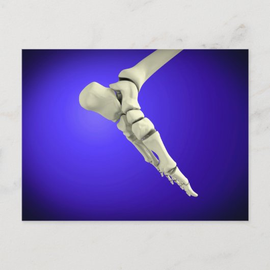 röntgenUitzicht van menselijke voet 2 Briefkaart (Voorkant)