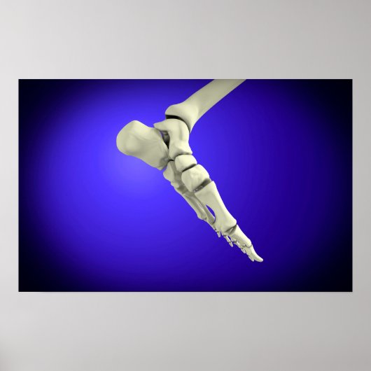 röntgenUitzicht van menselijke voet 2 Poster (Voorkant)