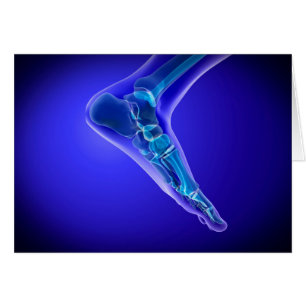 röntgenUitzicht van menselijke voet 3