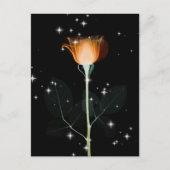 Röntgenventilator met mousserend vermogen - Oranje Briefkaart (Voorkant)