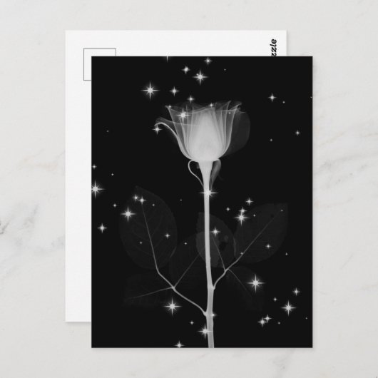 Röntgenventilator mousserend - B&W Briefkaart (Voorkant / Achterkant)