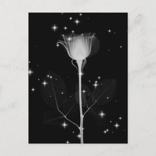 Röntgenventilator mousserend - B&W Briefkaart (Voorkant)