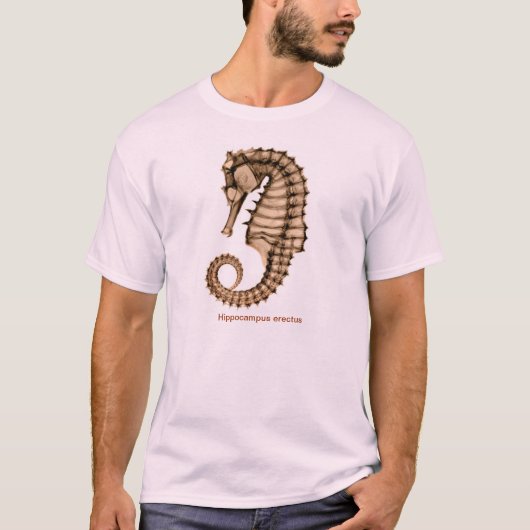 RöntgenZee paard Hippocampus erectus voor/achter T-shirt (Voorkant)