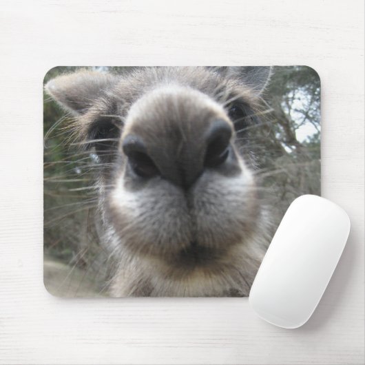 Roo Bob Muismat (Met muis)