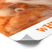 Roo Stuffy & Skippy Peeg Poster (Hoek)