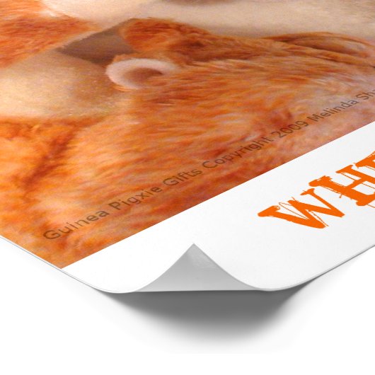 Roo Stuffy & Skippy Peeg Poster (Hoek)