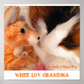 Roo Stuffy & Skippy Peeg Poster (Voorkant)