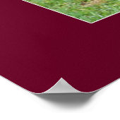 Rood 1970 poster (Hoek)