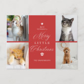 Rood 4 Foto Vrolijk Kleine Kerstmis Huisdier Vakan Feestdagenkaart (Voorkant)