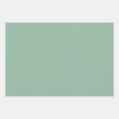 Rood aardbeiennaadloos patroon inpakpapier vel (Voorkant 3)