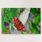 Rood admiraal Butterflies. Legpuzzel (Horizontaal)
