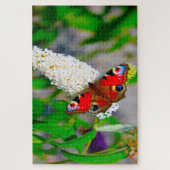 Rood admiraal Butterflies. Legpuzzel (Verticaal)