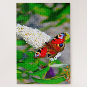 Rood admiraal Butterflies. Legpuzzel