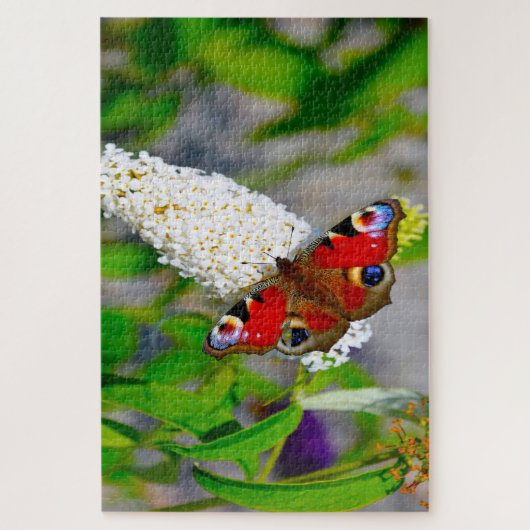 Rood admiraal Butterflies. Legpuzzel (Verticaal)