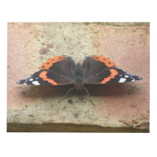 Rood, admiraal Butterfly-blok Notitieblok