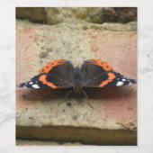 Rood-admirale vlinderfleslabels wijn etiket (Enkel label)