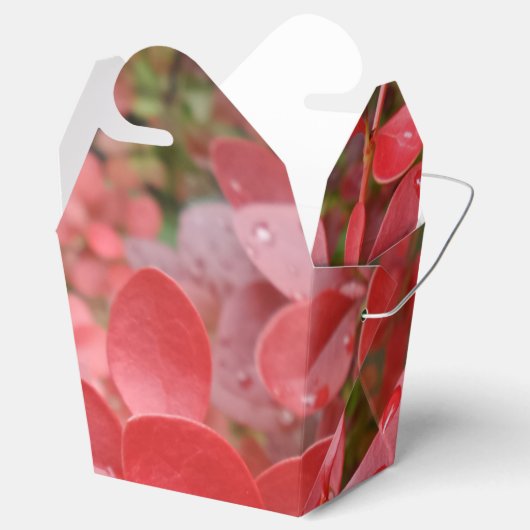 Rood afdekplaatje bedankdoosjes (Geopend)