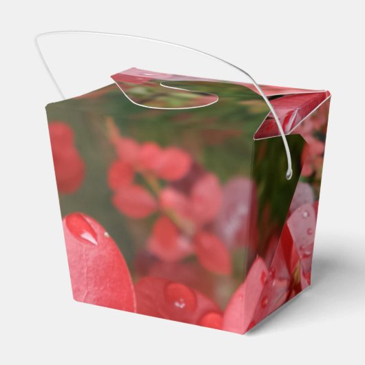 Rood afdekplaatje bedankdoosjes (Achterkant)