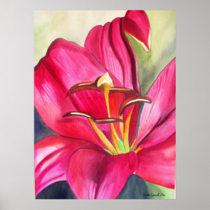 Rood Alert Lily waterverf Poster