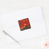 Rood als je tulpen vierkante sticker (Envelop)