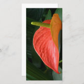 Rood Anthurium Plant tegen olie Bedankkaart (Voorkant / Achterkant)
