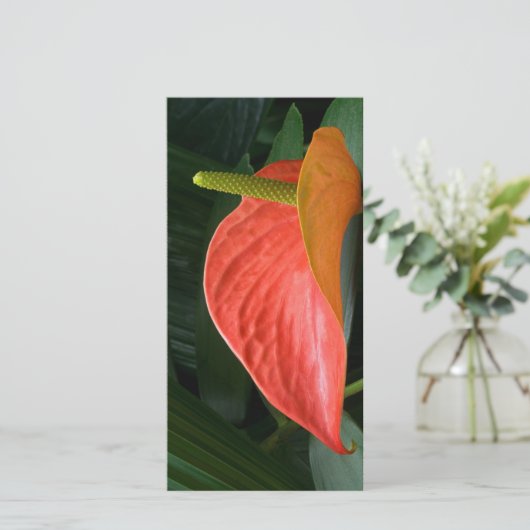 Rood Anthurium Plant tegen olie Bedankkaart (Staand voorkant)