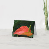 Rood Anthurium Plant tegen olie Bedankkaart (Voorkant)