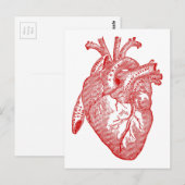 Rood Antiek anatomisch hart Briefkaart (Voorkant / Achterkant)