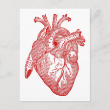Rood Antiek anatomisch hart