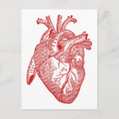 Rood Antiek anatomisch hart Briefkaart (Voorkant)