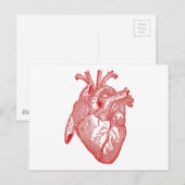 Rood Antiek anatomisch hart Briefkaart (Voorkant / Achterkant)