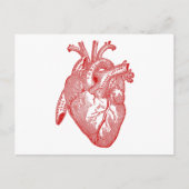 Rood Antiek anatomisch hart Briefkaart (Voorkant)