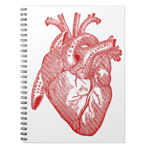 Rood Antiek anatomisch hart Notitieboek
