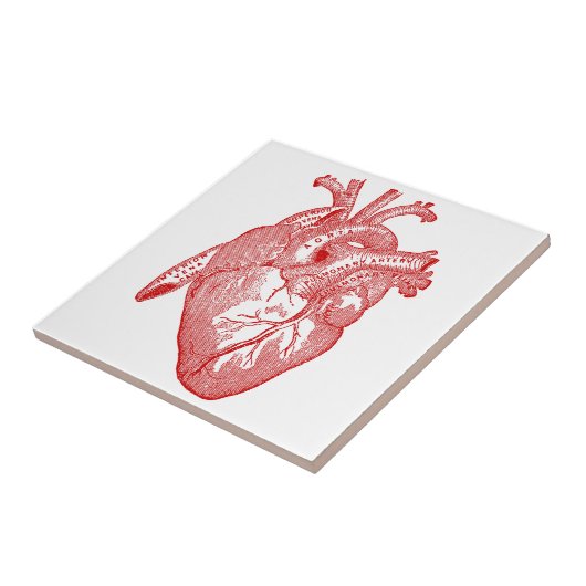 Rood Antiek anatomisch hart Tegeltje (Zijkant)
