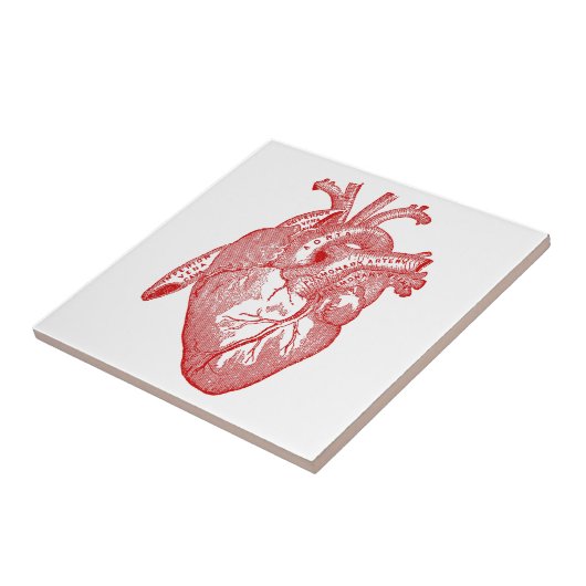 Rood Antiek anatomisch hart Tegeltje (Zijkant)