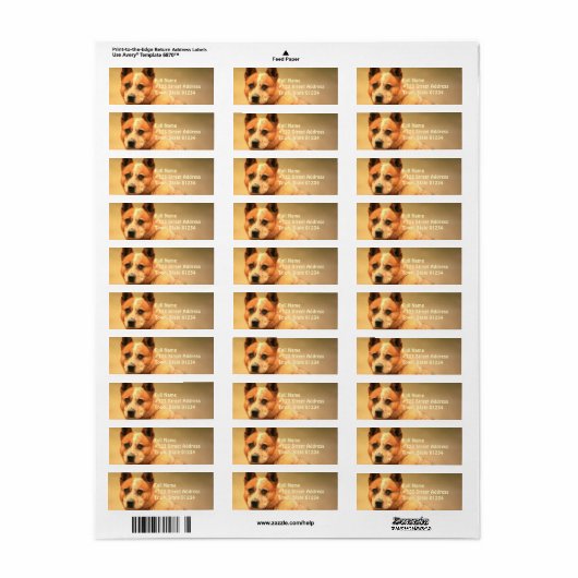 Rood Australisch rundvee hond retour adres label (Full Sheet)