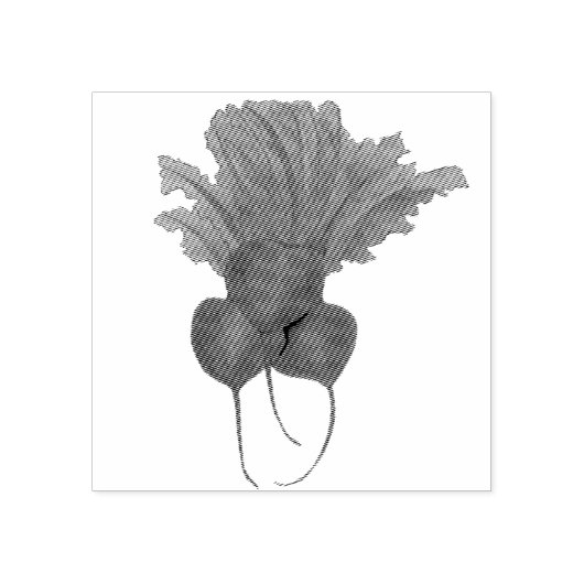 Rood bier Bunch Garden Vegetable Beet Foodie Rubberstempel (Afrduk)