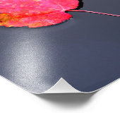 Rood blad aan de zijkant foto afdruk (Hoek)