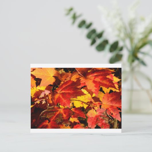 Rood blad geel blad gouden herfst bladeren briefkaart (Staand voorkant)