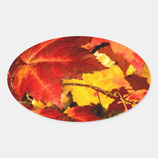 Rood blad geel blad gouden herfst bladeren ovale sticker (Voorkant)