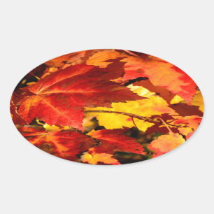 Rood blad geel blad gouden herfst bladeren ovale sticker