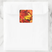 Rood blad geel blad gouden herfst bladeren vierkante sticker (Tas)