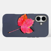 Rood blad op het water Case-Mate iPhone case (Achterkant (horizontaal))
