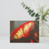 Rood blad voor het boren briefkaart (Staand voorkant)