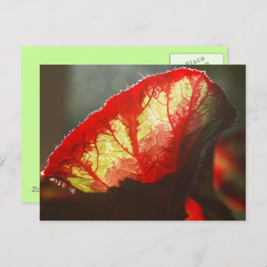 Rood blad voor het boren briefkaart (Voorkant / Achterkant)