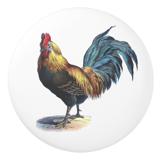 Rood blauw gele rooster op wit keramische knop (Voorkant)