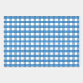 Rood blauw groen Gingham Gift Wrap Bladen Inpakpapier Vel (Voorkant)