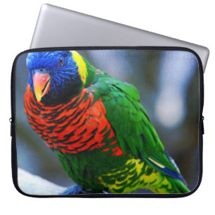 Rood blauw groen loriket vogel foto vet modern laptop sleeve